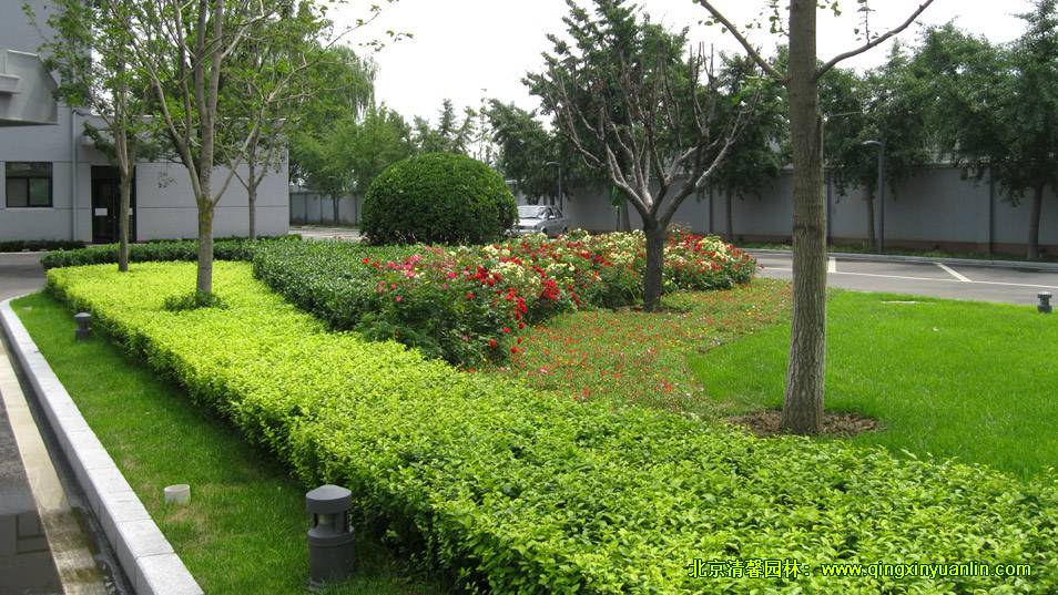 南苑機(jī)場(chǎng)