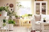 春季用植物去裝扮居室美極了！